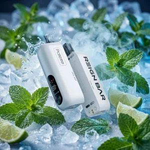 Cool Mint - Reign Bar Palette 50k Disposable Vape
