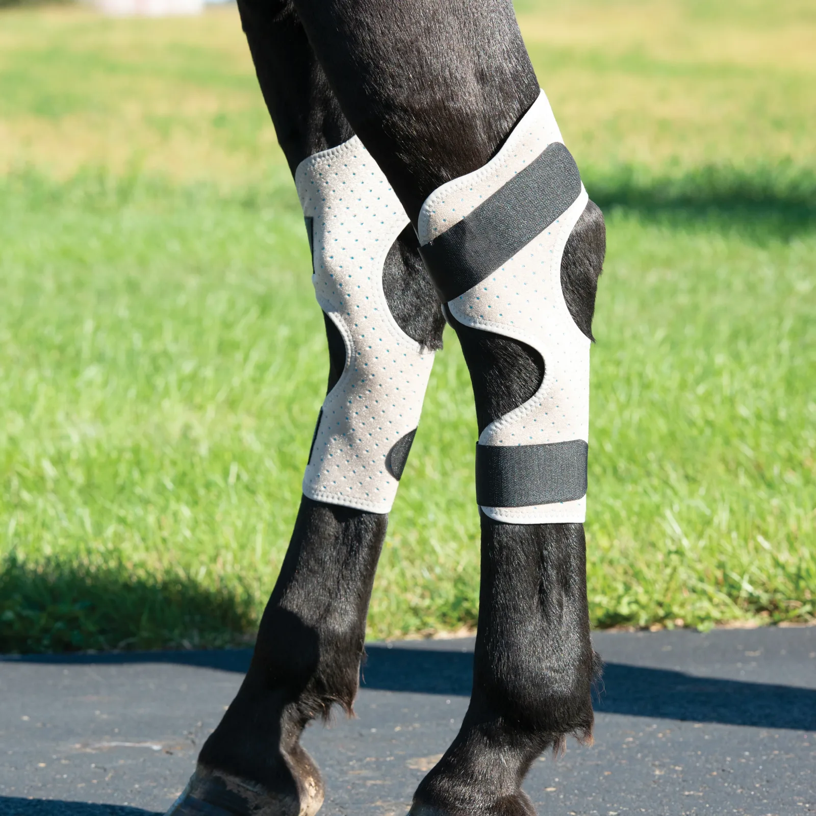 Equine Icing & Cooling Hock Wraps Powered by Coolcore®
