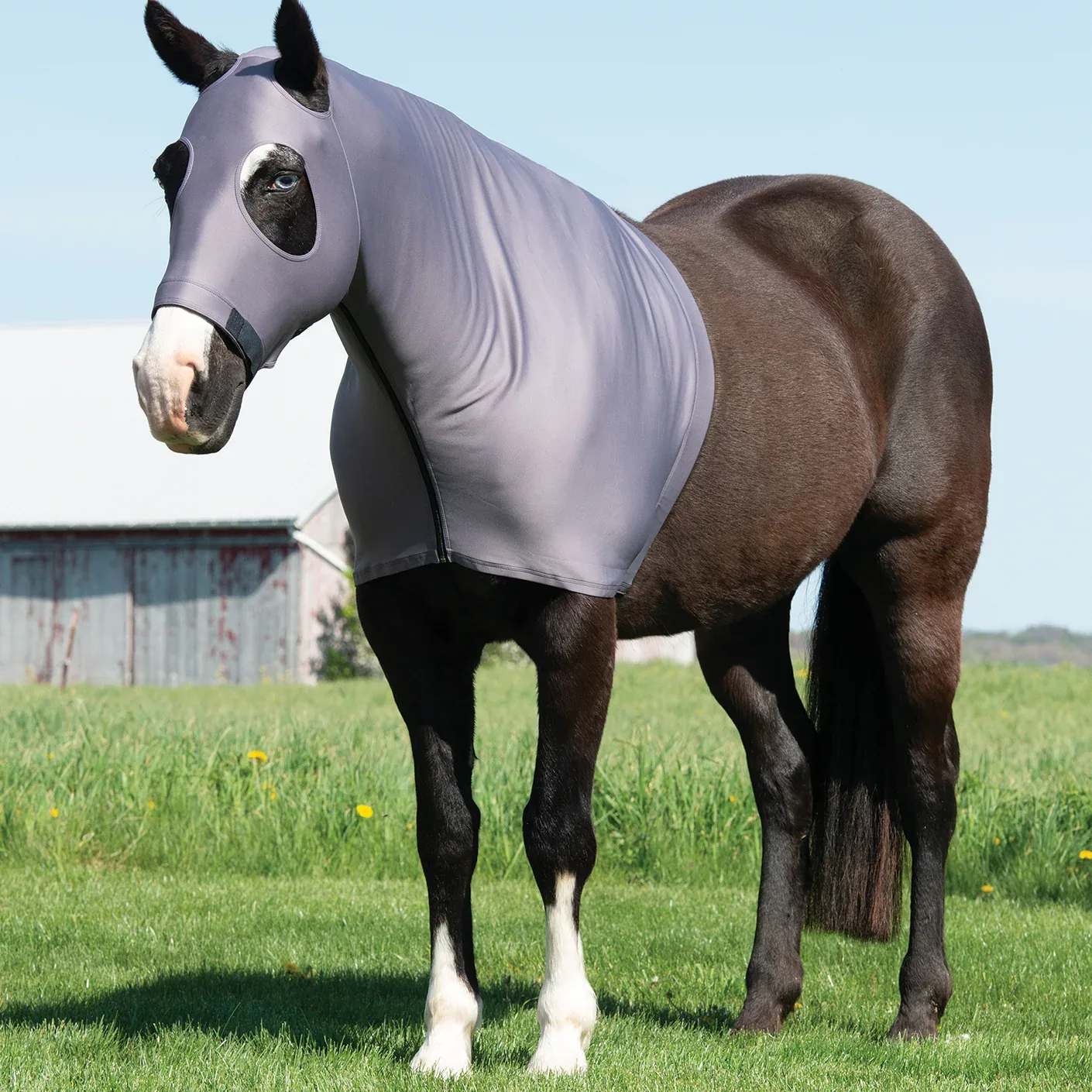 Equine Lycra® Hoods Powered by Coolcore® - Image 2