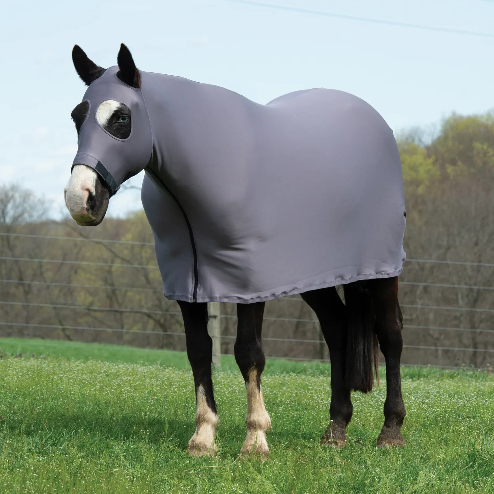 Equine Lycra® Sheets Powered by Coolcore® - Image 2