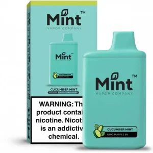 MINT 6500 Puff 5% Rechargeable Disposable Vape
