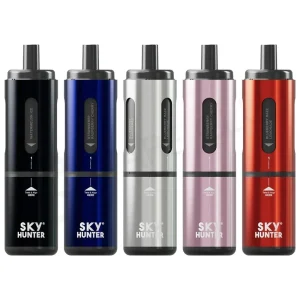 Sky Hunter 2600 Rechargeable Pod Vape Kit, 4 x 2ml Pods, TPD