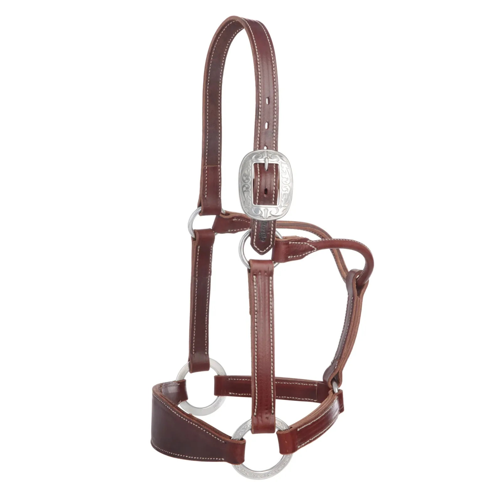 Stacy Westfall Bronc Halter, 1", Average - Image 2