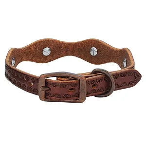 Sundance Collar